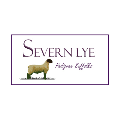 Severn Lye Suffolks