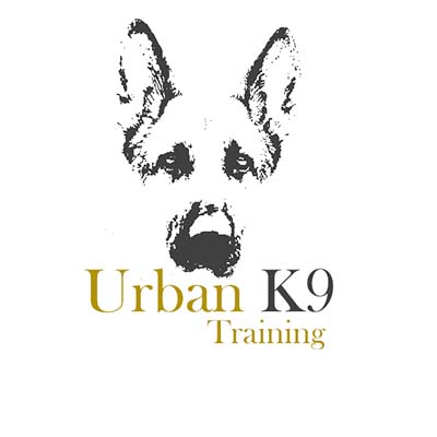 Urban K9 Training